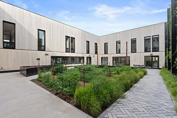 Courtyard with a variety of vegetables and plants to attract pollinators. (Clay Whisler photo) 2024/07/stanley-center-2024-128-CW-750x500-1.jpg 
